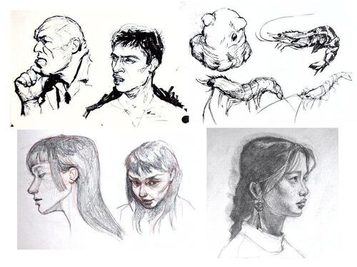 Various pencil and ink portrait sketches